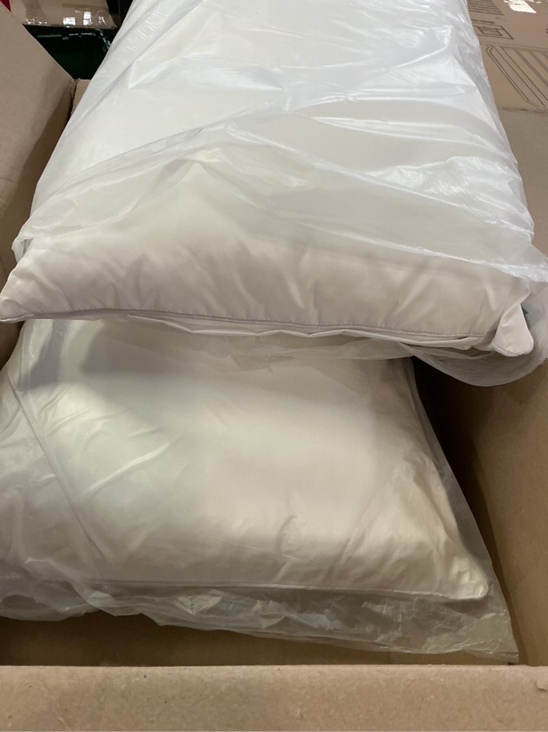 Condition photo showing Good Condition for oubonun 16 x 24 outdoor pillow inserts (pack of 2) - square waterproof throw pillow - decorative throw pillows insert for couch sofa bed patio furniture - white pillows 16 x 24 (pack of 2)