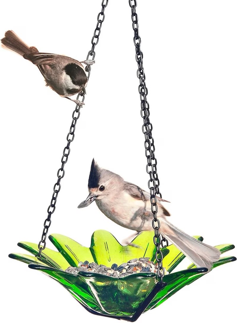Mosaic Birds Daisy Petite Hanging Bird Feeder, 10.1-oz, Lime