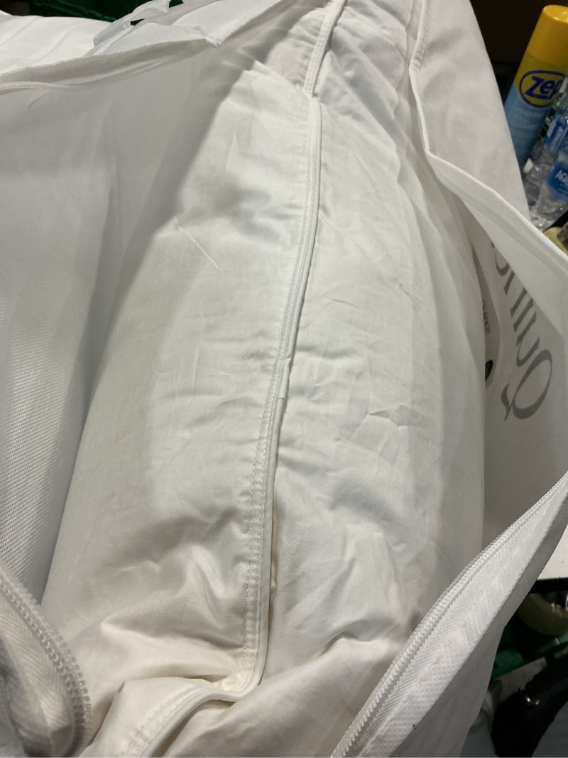 Condition photo showing Good Condition for premium down pillow king
