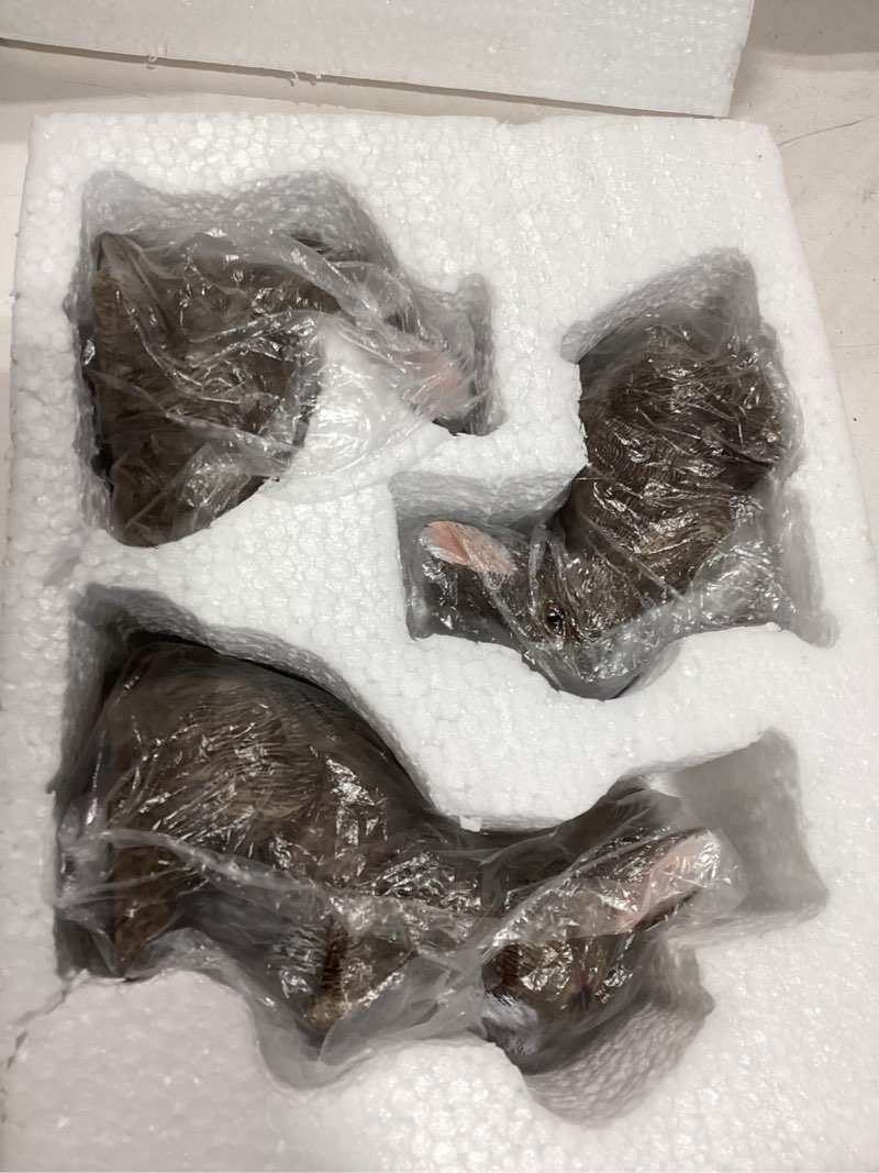 Condition photo showing Good Condition for 3 pcs bunny decor figurines garden decorations, cute bunny yard statues outdoor, easter rabbit statues, hand-painted resin animal figurines for home table decor