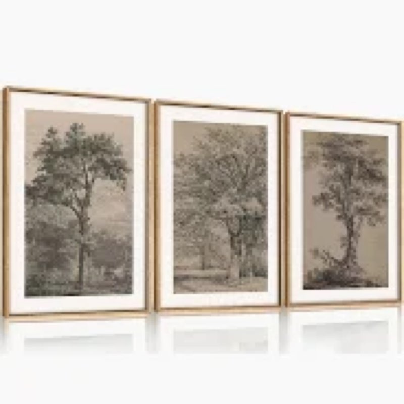 framed vintage tree sketch set of 3 wall art for bedroom, neutral landscape antique brown canvas art