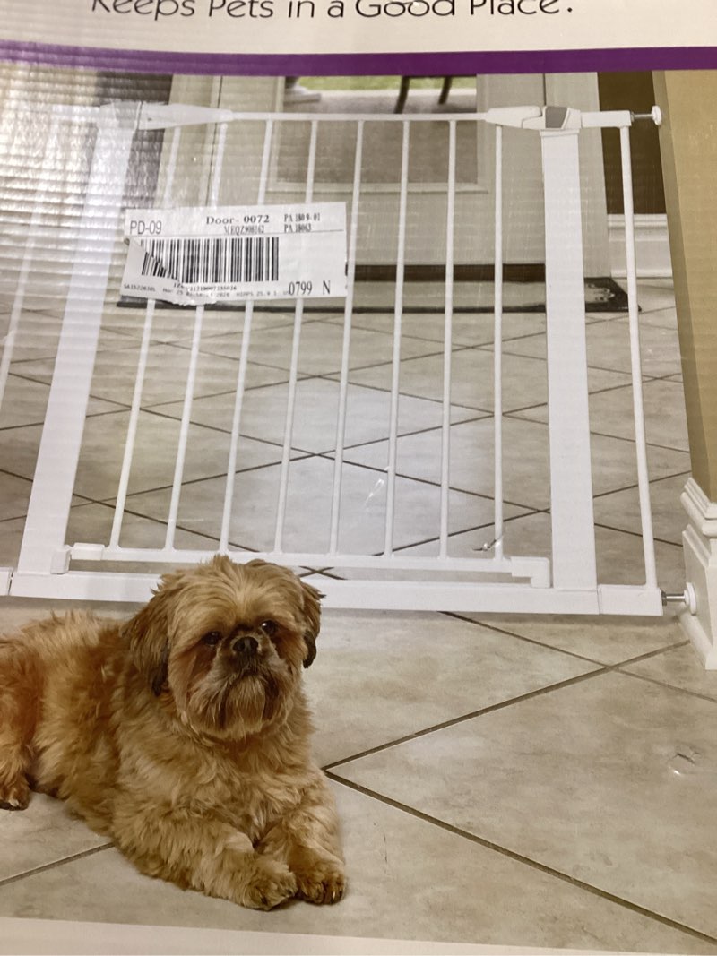 midwest homes for pets 29 inches tall walk-though steel pet gate, pressure mounted dog gate with glo