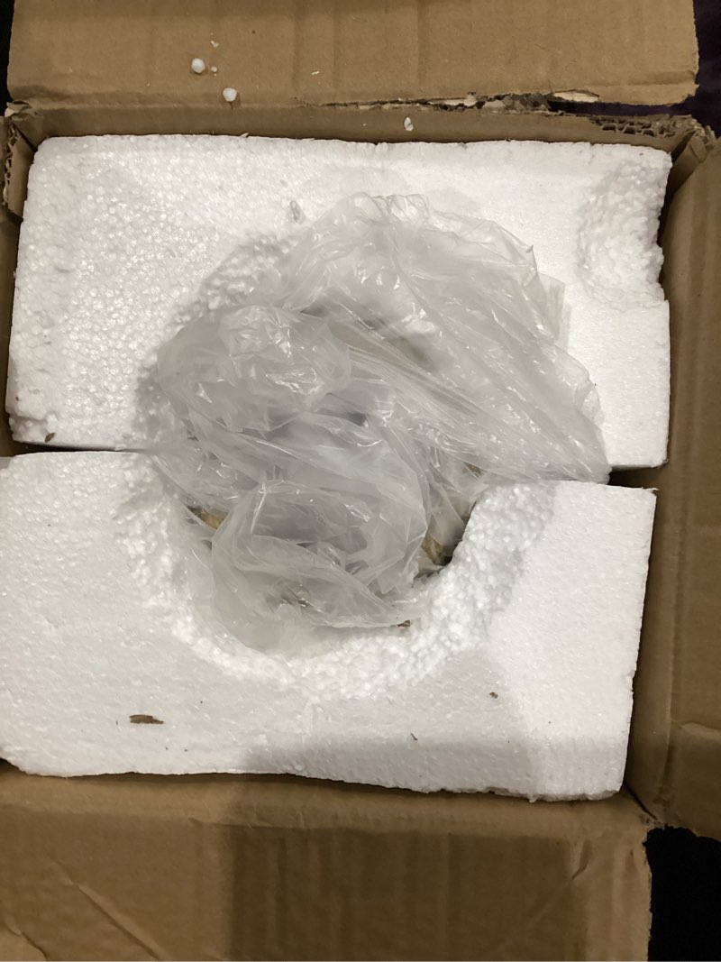 Condition photo showing As Is for Tall Vases Sturdy, Luxury, Textured for Decorative Branches Dried Flowers, Floor Vase for Rustic Living Room, Shelf Decor, Resin Gold