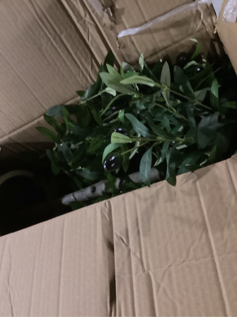 Condition photo showing Good Condition for olive tree artificial indoor, 5ft tall silk faux olive tree with white planter, artificial plants with natural wood trunk and lifelike fruits for home office decor 5 ft