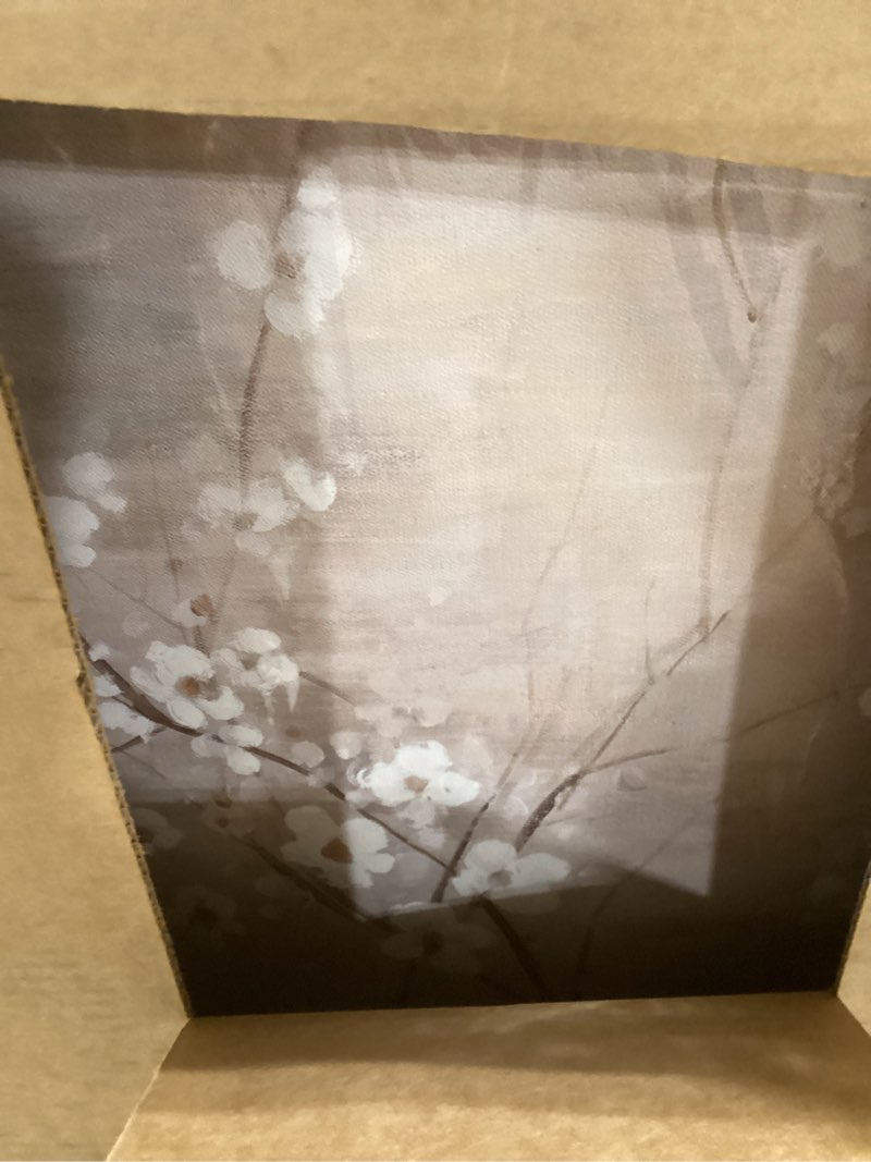 Condition photo showing Good Condition for XIANSHOU Flower Wall Decor White Flowers Blossom Canvas Picture Plant Wall Decor Contemporary Art Painting for Living Room Office Bedroom Hanging Wall Decor 24x48 Inchs 24x48 Beige
