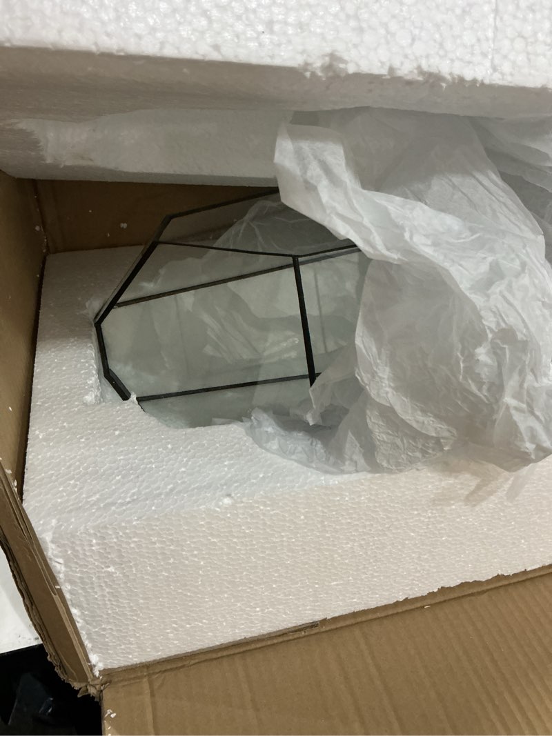 Condition photo showing Good Condition for ncyp no door large geometric terrarium - 16 inches irregular open glass terrarium pot for tall cacti, tall succulents - home garden tabletop decoration (no plants) 10.4"x9"x16" glass