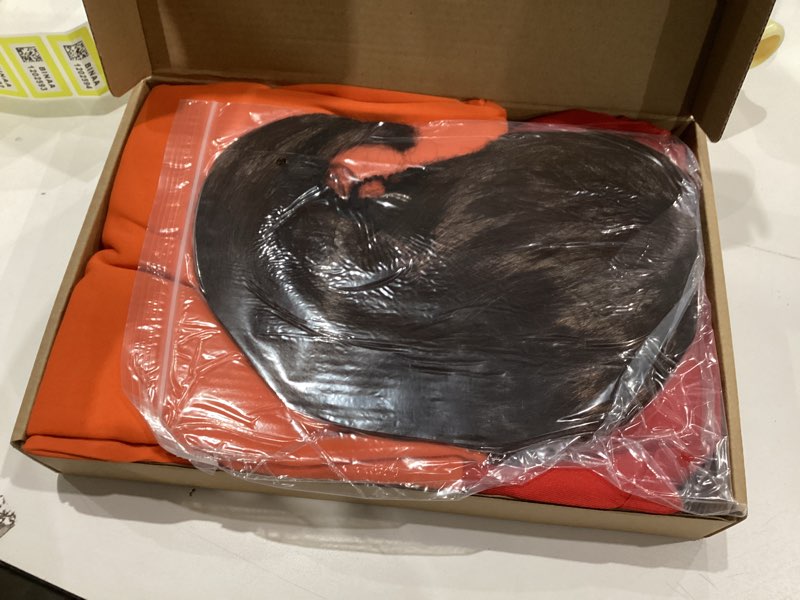 Condition photo showing As Is for Deluxe Adult Costumes Set for Women Halloween Costume Dress Up with Accessories