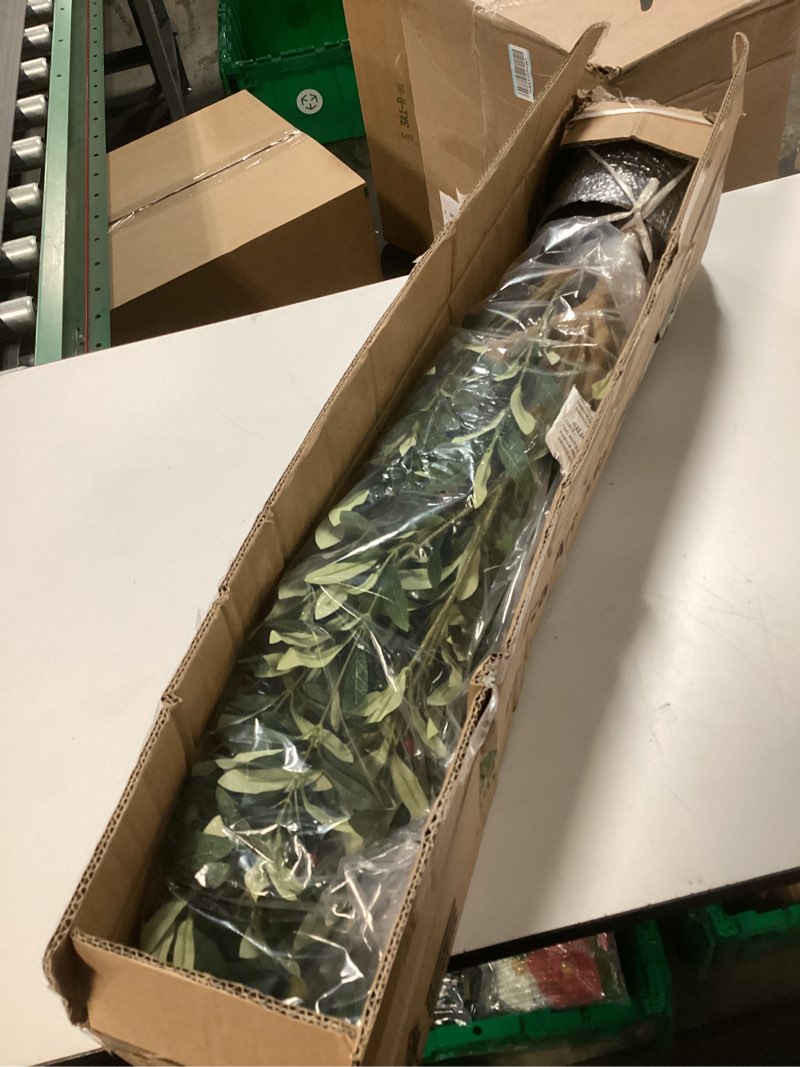 Condition photo showing New/Like New for Bellacat Faux Olive Tree 7ft?Olive Trees Artificial Indoor with Natural Wood Trunk and Realistic Leaves and Fruits. 7 Feet(84in) Fake Olive Tree for Home House Office Décor. 1 7ft
