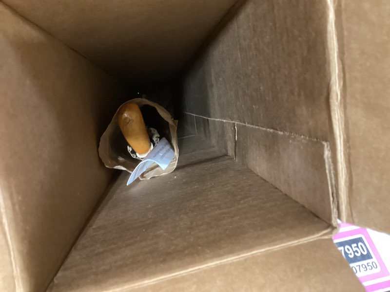 Condition photo showing Good Condition for Imported Shillelagh Wooden Irish Walking Stick, Handcrafted 100% Blackthorn Wood Cane, Handles All Unique, Black High Gloss Lacquered, Made in Ireland 36" Black - Rounded Handle