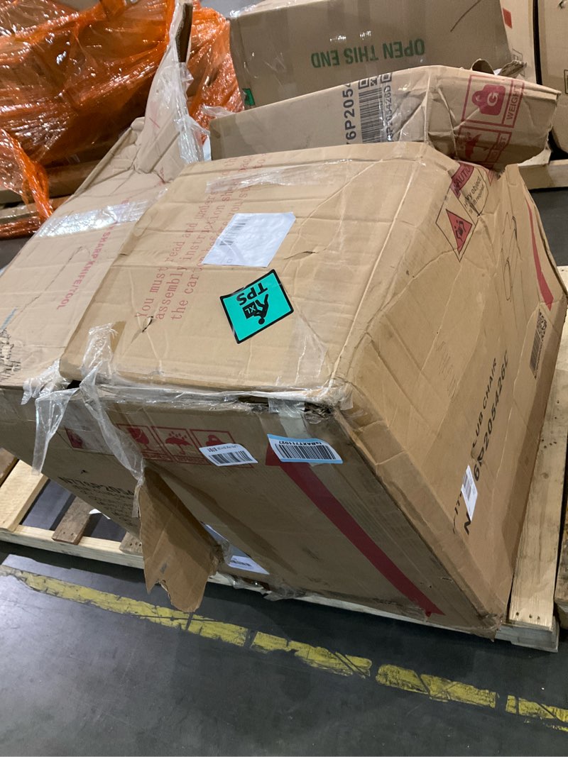 Furry Friend Finds & More!