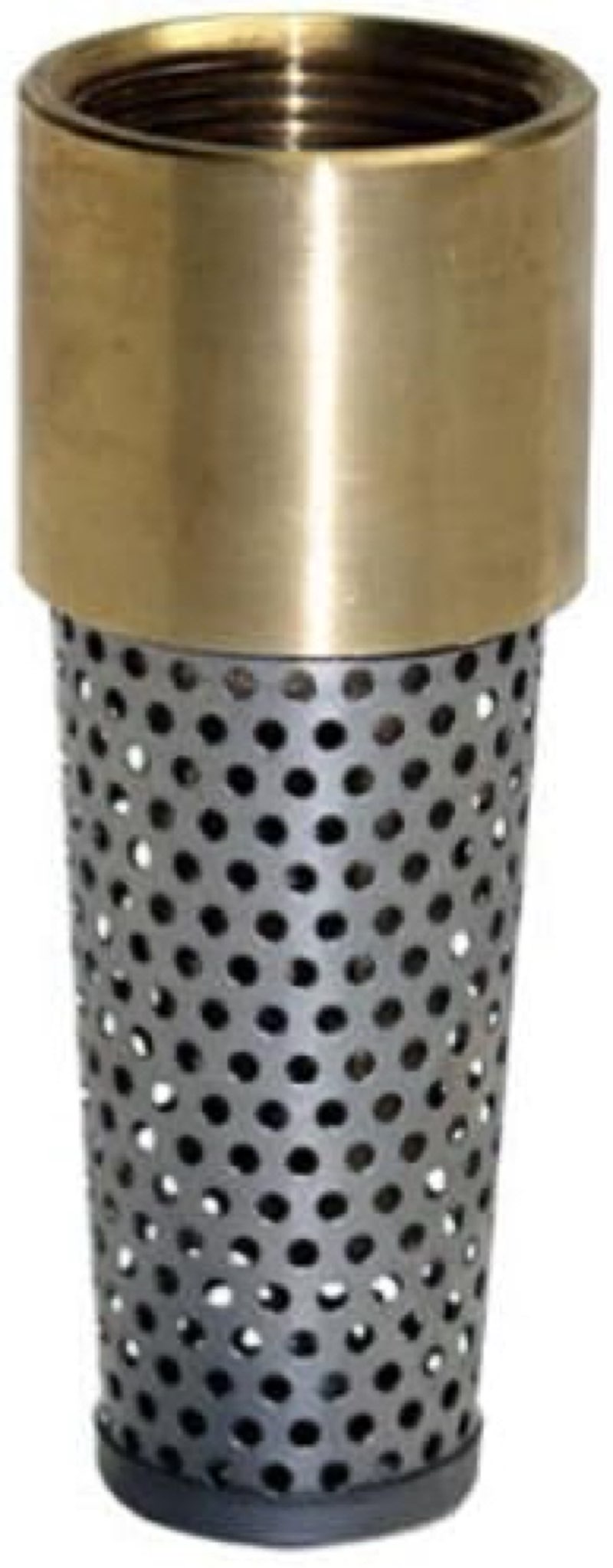 WATER SOURCE TFV-200NL 2" BRS Foot Valve