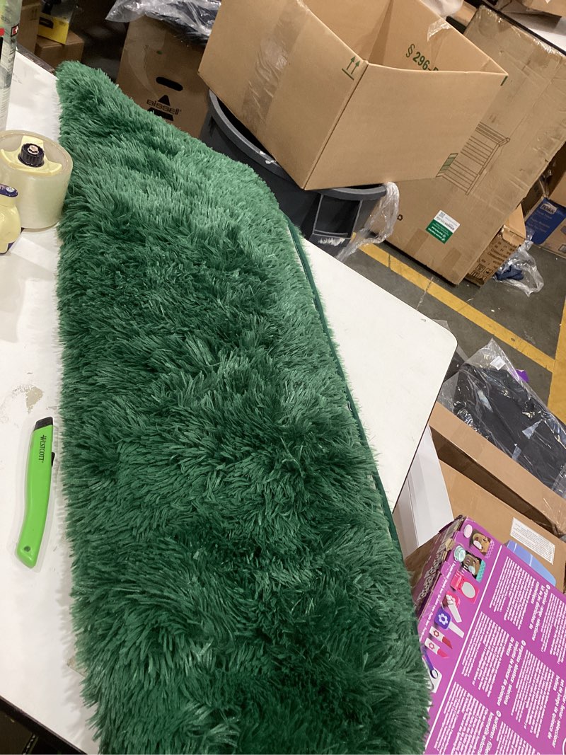 Condition photo showing As Is for Rug
