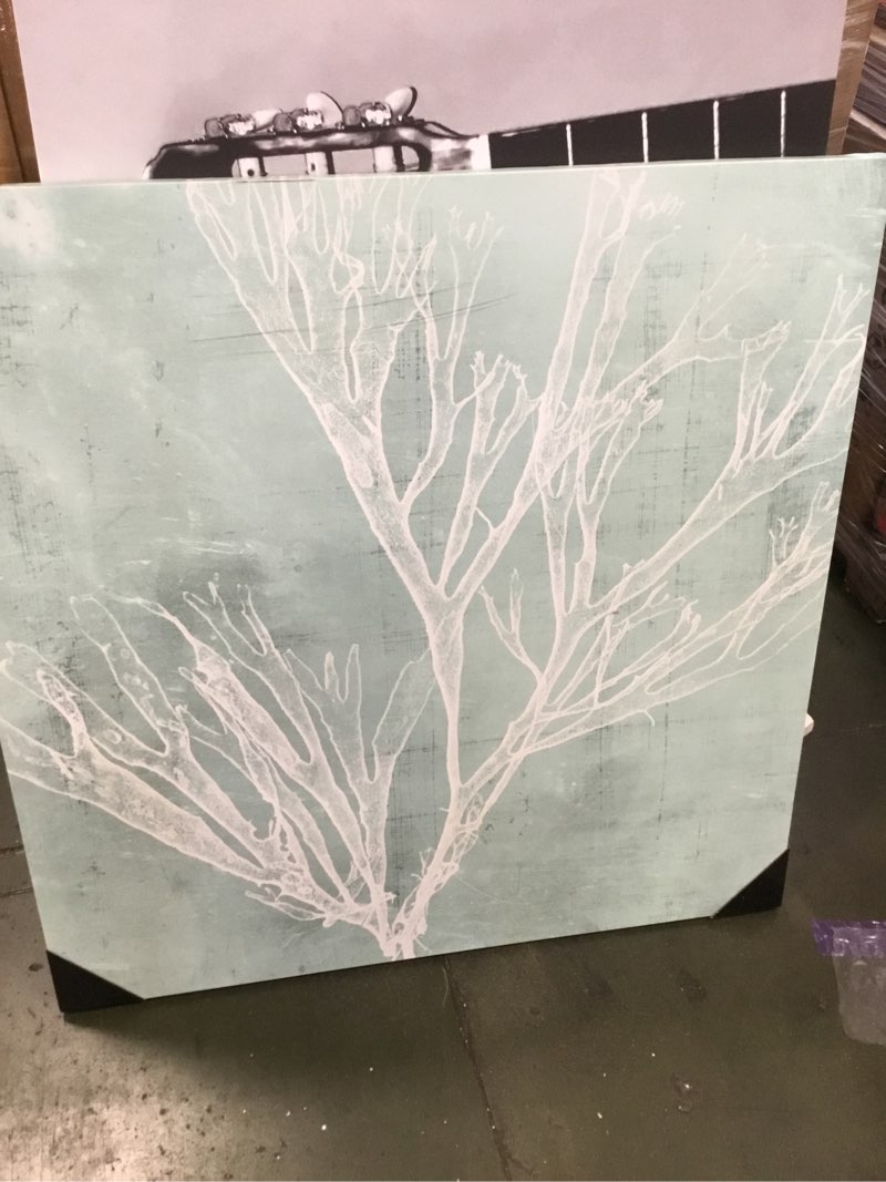 Seaweed On Aqua VII \" 40X40