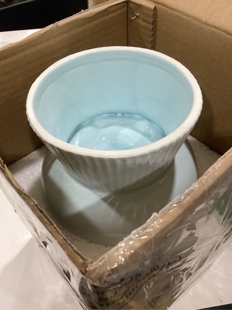 Condition photo showing As Is for Tioncy 2 Pcs Raised Cat Slow Feeder Bowl Ceramic Elevated Cat Dog Food Bowl No Spill High Edge for Dry Wet Food and Water Easy to Clean, Dishwasher Safe(Green, Blue)