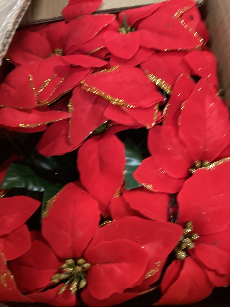 Condition photo showing Good Condition for HyDren 2 Pack Pre Lit Artificial Poinsettia Flowers Christmas Hanging Basket 2 Pcs Colorful LED String Lights for Indoor Outdoor Garden Patio Porch (Red)