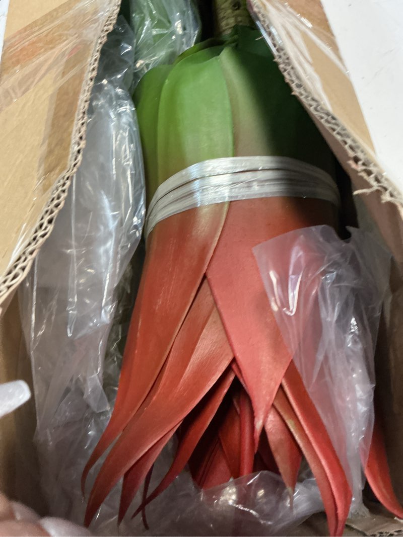 Condition photo showing Good Condition for velener fall fake agave artificial plant, red fake succulents plant for room decor, unpotted faux agave stems plant for fall outdoor/indoor decor, 22 inches, set of 2 red*2 22 inches