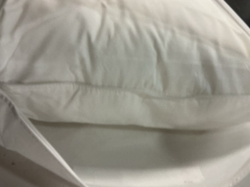 Condition photo showing Good Condition for premium down alternative pillow, standard, soft/medium