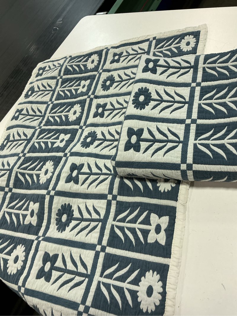 Condition photo showing Good Condition for organic cotton jacquard floral sham set(20x35.5in)
