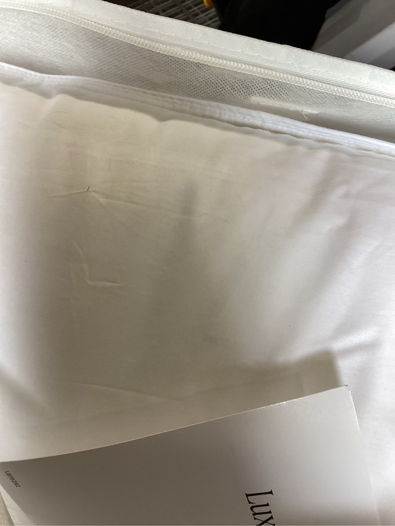 Condition photo showing New/Like New for quice luxe goose down pillow 