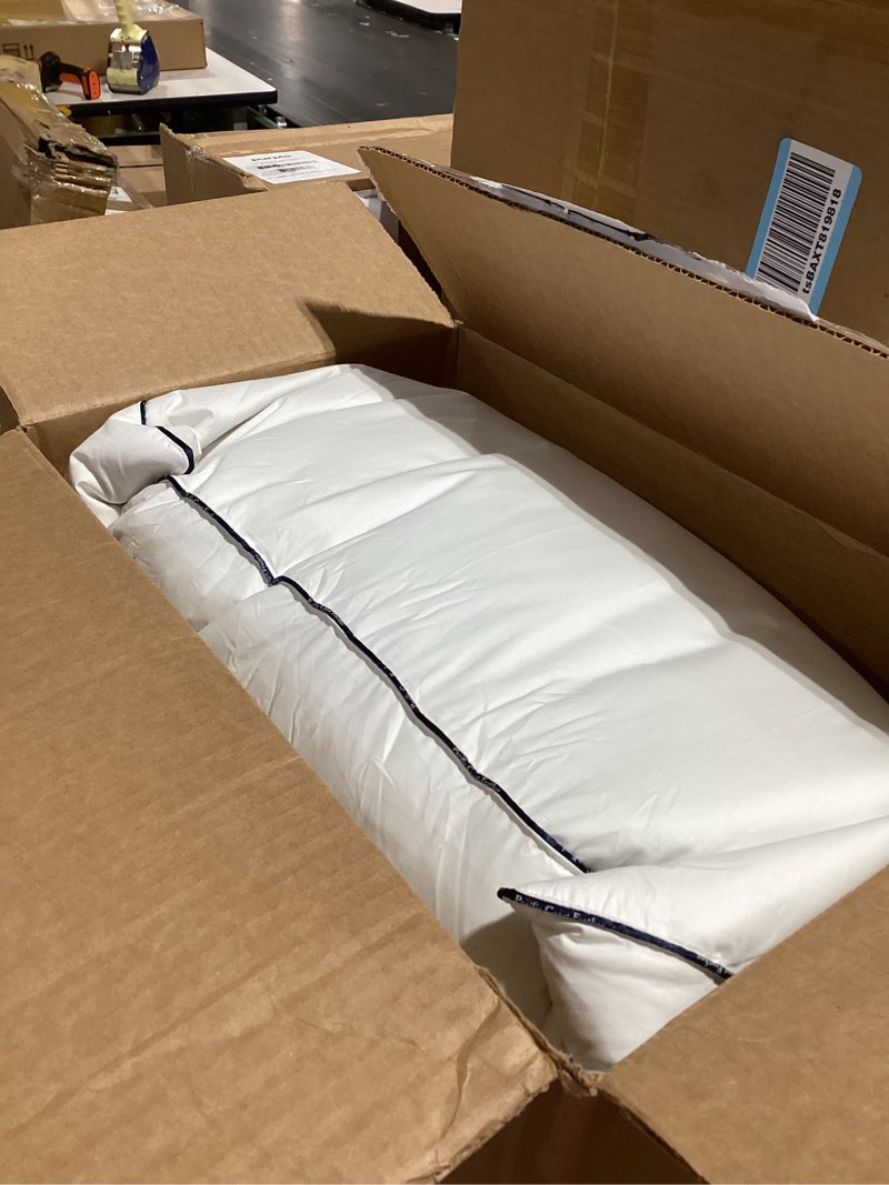 Condition photo showing As Is for Pacific Coast Goose Feather and Down Bed Pillows Standard Size Set of 2, Hotel Pillow for Sleeping, Downproof, Soft, Fluffy, 100% Cotton Shell Standard (Pack of 2)