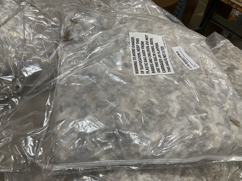 Condition photo showing Good Condition for bryar wolf premium duck down & goose feather filling – 90/10 white mix (1 lb) | ultra-soft, breathable, hypoallergenic bulk stuffing for pillows, cushions, bedding, jackets & diy crafts
