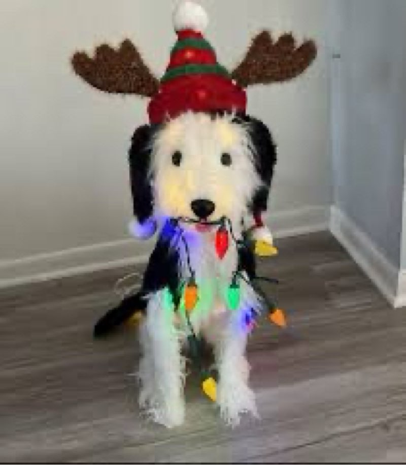 holiday living 2-ft led shaggy dog decoration