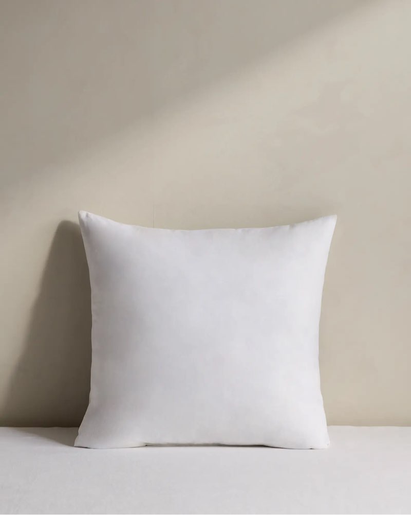 premium feather pillow insert 20”x20”