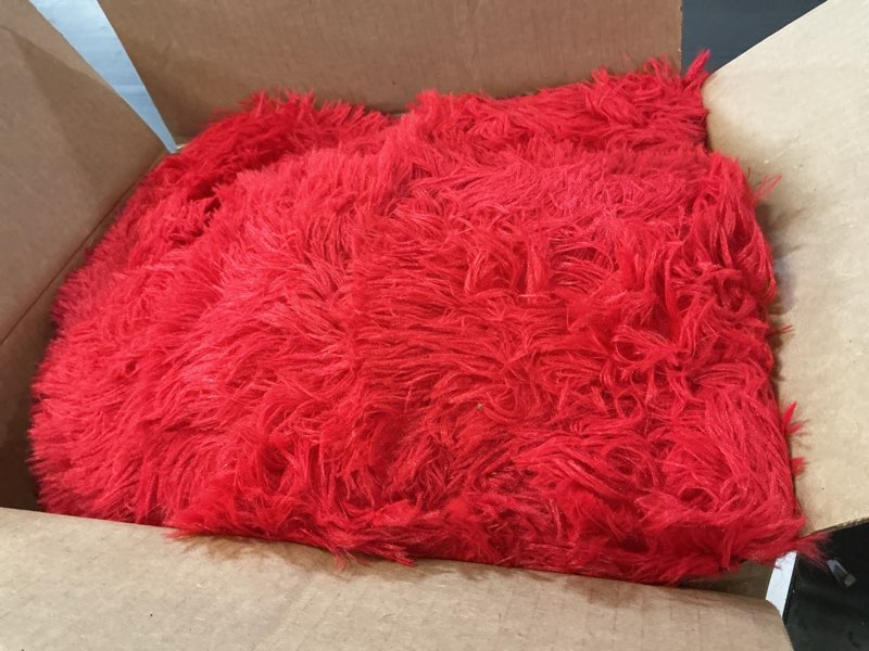 Condition photo showing As Is for 6x9 area rugs for living room, large fluffy red rugs for bedroom, fuzzy shag soft non-slip carpet for kids girls and boys nursery dorm indoor room home decor (6ft x 9ft, red) red 6' x 9' (rectangular)