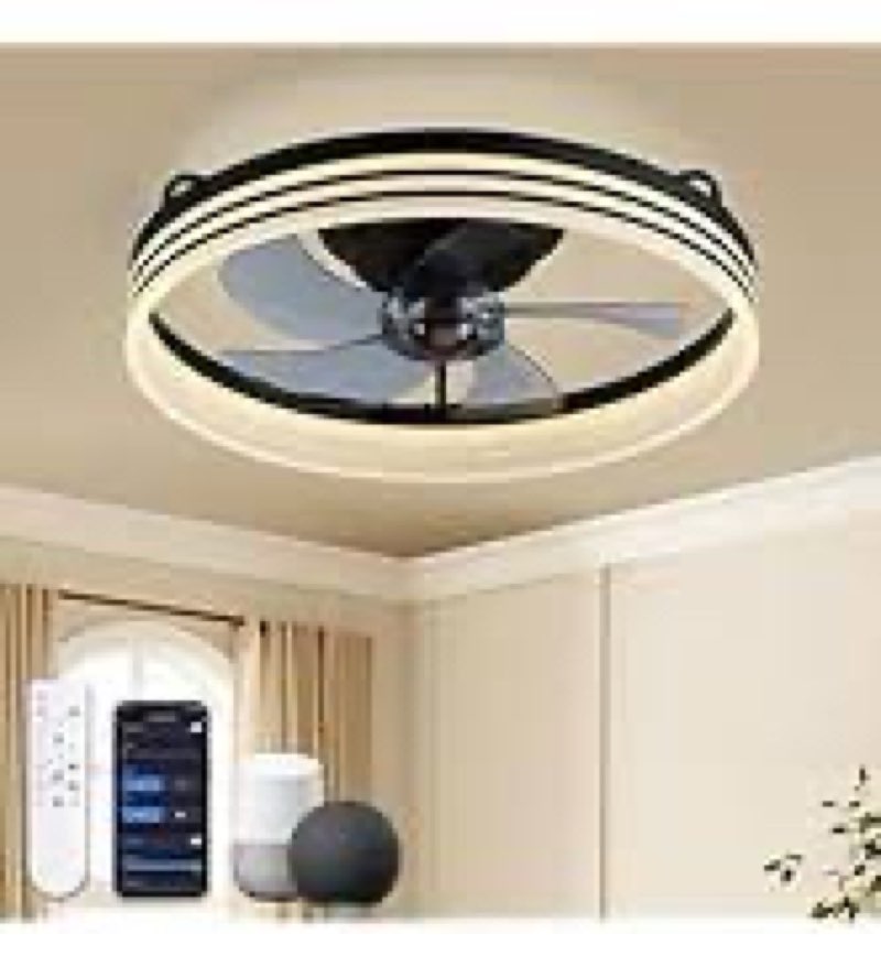 LUDOMIDE Smart Ceiling Fan with Lights and Alexa/Google Assistant/APP Control, 20" Low Profile Fan w