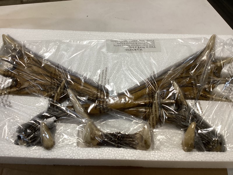 Condition photo showing Good Condition for ebros gift rustic aged white hunter's 10 point stag deer antlers rack wall plaque 17" wide coat hooks multi-purpose hats keys scarves belts pet leashes hangers antler wall hook