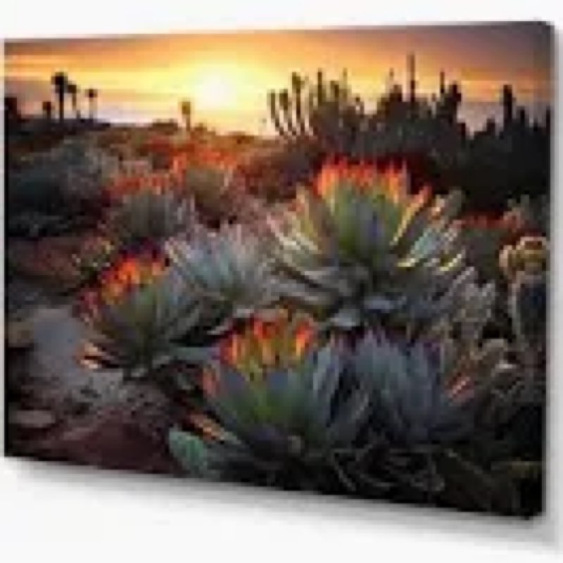 Succulent desert cactus field burning sunset III on canvas print