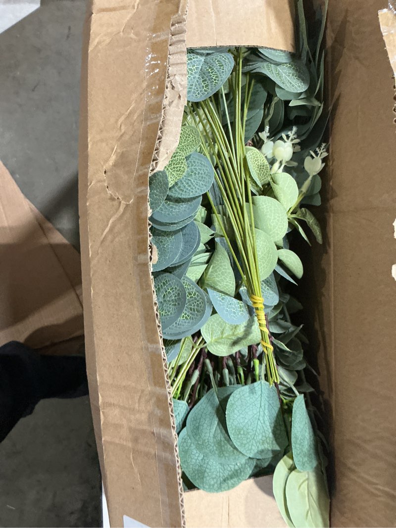 Condition photo showing Good Condition for lovemoon 130 pcs artificial mixed eucalyptusstems bulk, 5 kinds of faux greeneryeucalyptus leaves bulk for vase wedding diy bouquets floral arrangement home decor (130, green) green 130