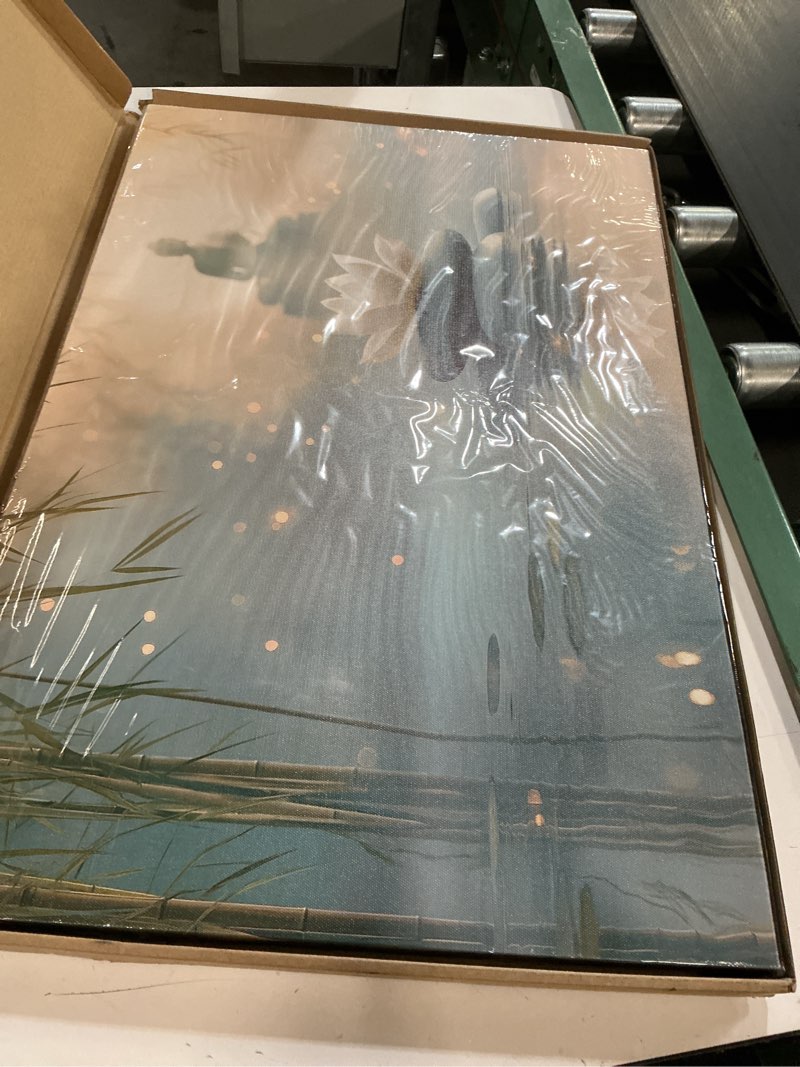 Condition photo showing New/Like New for LAIART Lotus Zen Canvas Print Wall Art Modern Artwork Wall Decor 16"L x 24"W ZEN-3