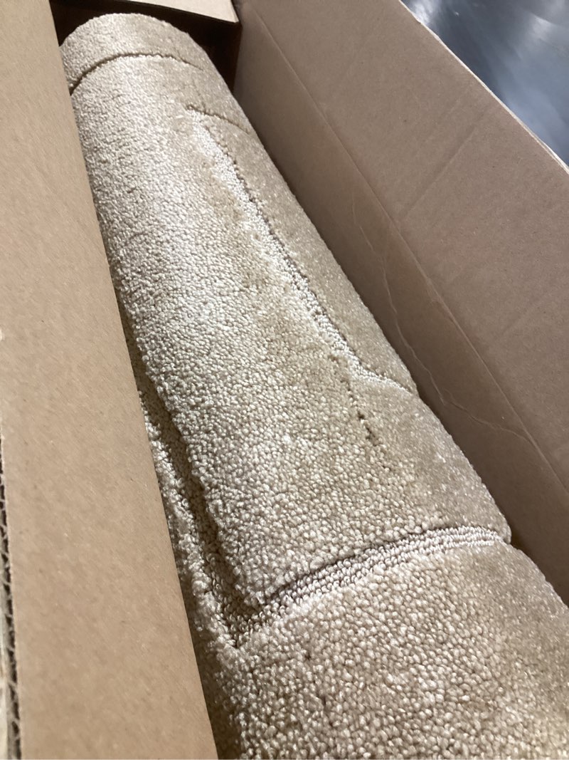 Condition photo showing Good Condition for purrugs machine washable kitchen runner rug 24" x 70", non-slip/skid hallway runner rug, super absorbent soft area rug for kitchen, hallway & laundry, rolled packaging, beige beige 24" x 70"
