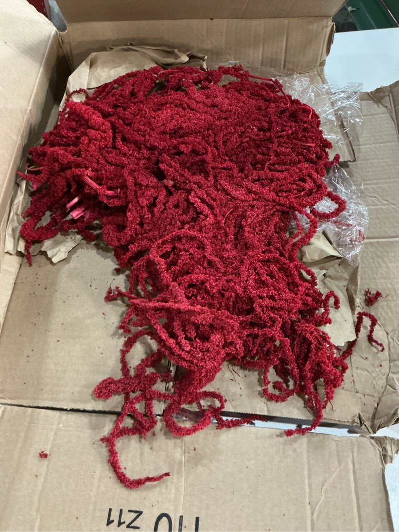 Condition photo showing Good Condition for suncalla 12 pcs red spring natural dried amaranthus hanging flowers amaranthus artificial flowers for wedding arch bouquet floral garland wall home decoration (23 inch) red 23 inch 12