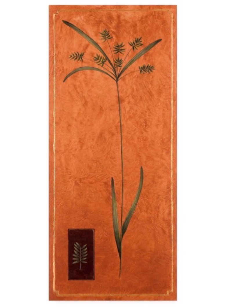 Trademark Fine Art ALI46152-C1432GG Ornamental Grass On Orange by Pablo Esteban, 14x32,