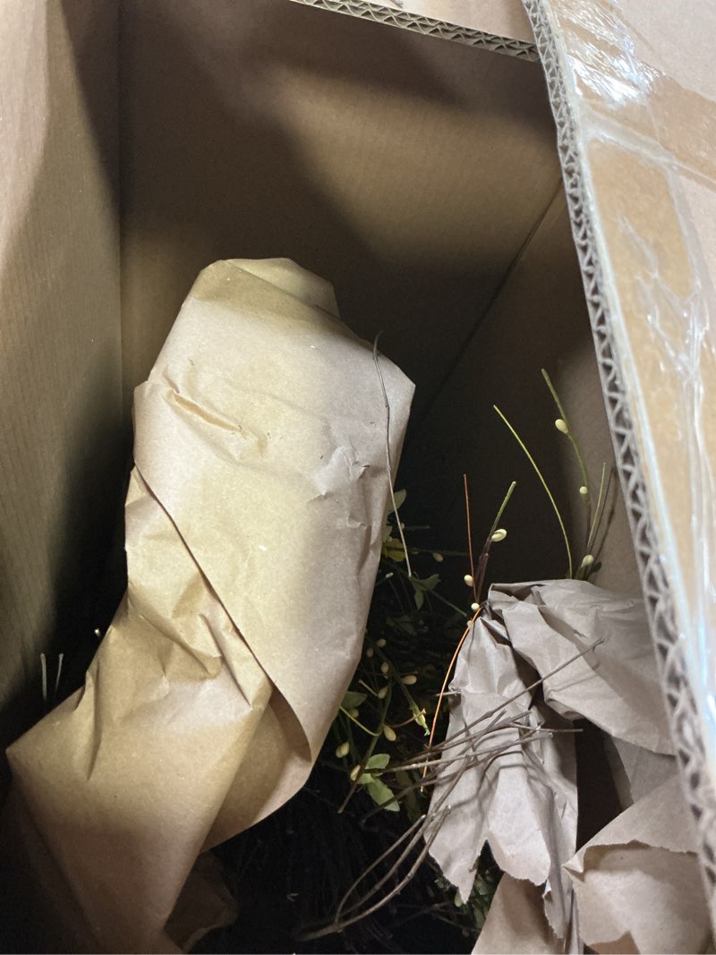 Condition photo showing Good Condition for worth imports 26\" forsythia twig teardrop, yellow