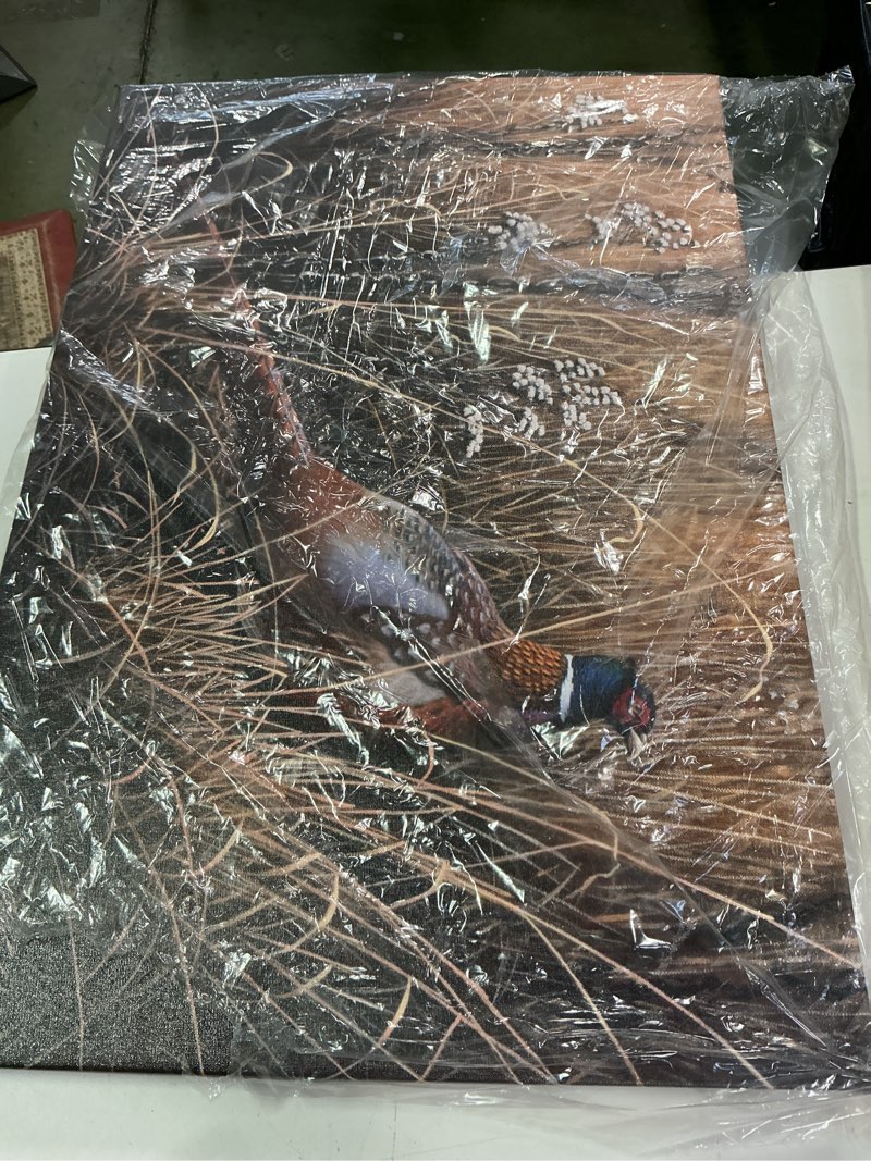 Condition photo showing New/Like New for Pheasant In The Grass by Wilhelm Goebel, 16x24-Inch