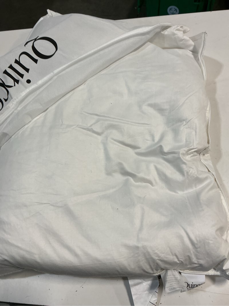 Condition photo showing As Is for luxe goose down pillow, standard, soft/medium
