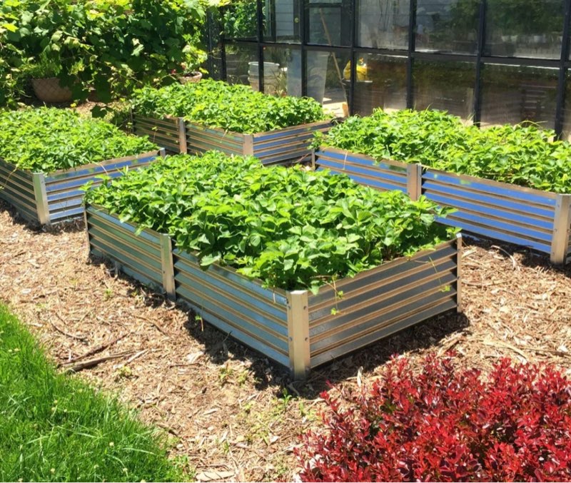 Steel raised garden bed