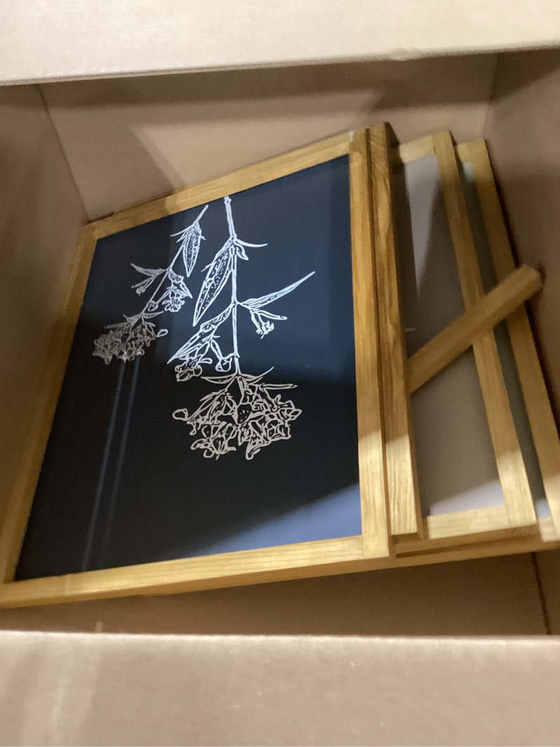 Condition photo showing Good Condition for 3Pcs Framed Abstract Floral Wall Art Paintings Modern Black and White Botanical Poster Prints Gallery Picture Decoration for Living Room Bedroom Bathroom Office 16x24 Inch Ready to Hang beige111 16x24 inch