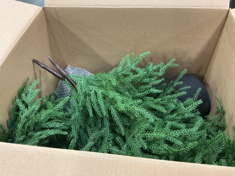 Condition photo showing Good Condition for Norfolk Pine Christmas Tree Real Touch Faux Holiday Tree with Pot, Realistic Indoor Outdoor Decoration for Entryway, Living Room, Office, Apartment (5FT- 2Pack)
