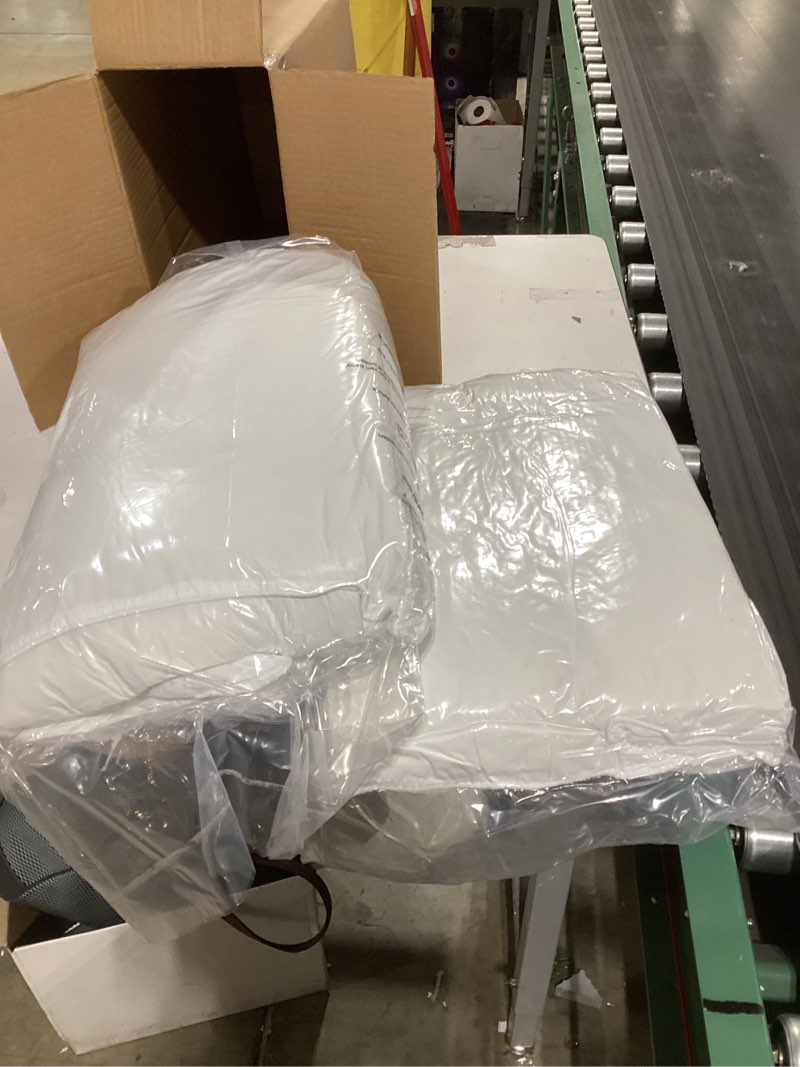 Condition photo showing New/Like New for Amazon Basics Down-Alternative Pillows for Stomach and Back Sleepers, Soft Density, 20 x 36 inches, 2-Pack, White