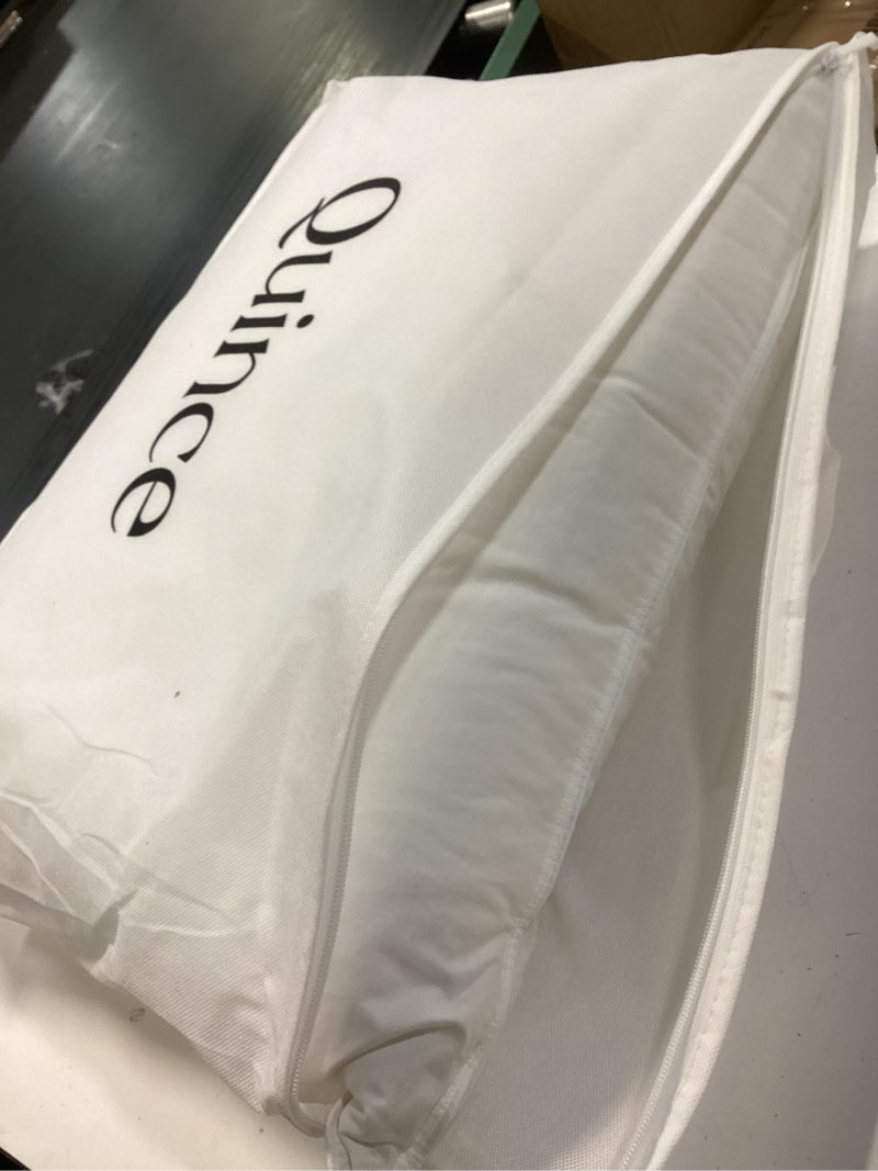 Condition photo showing New/Like New for luxe goose down pillow, standard, firm/extra firm