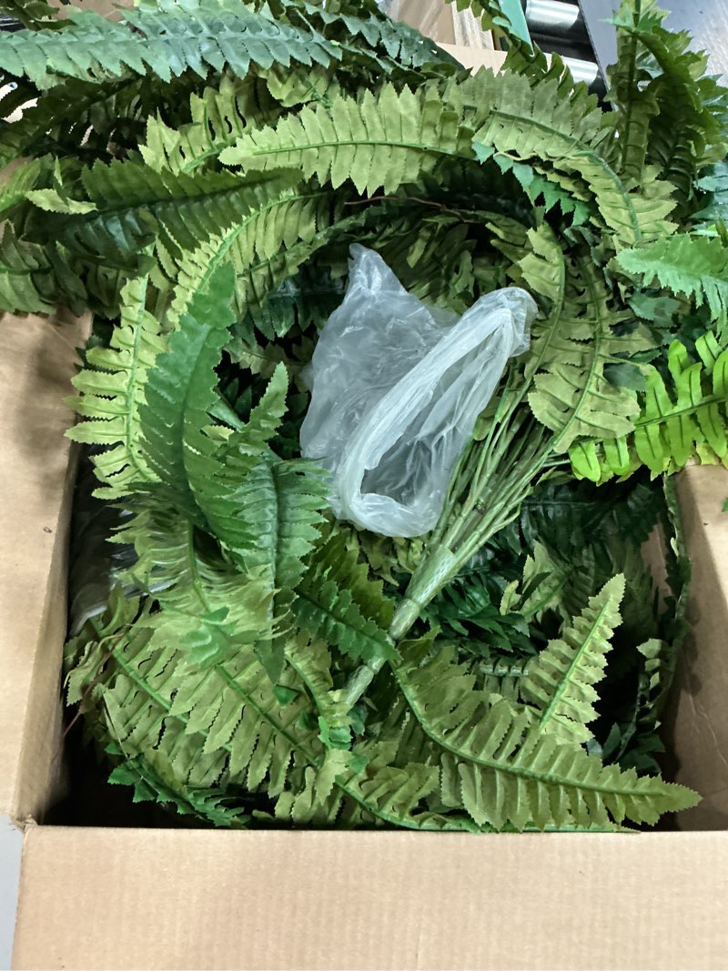 Condition photo showing Good Condition for 2pcs  fern bush fern collection by ashland®