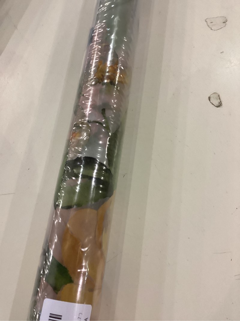 Condition photo showing Good Condition for DKTIE Window Film Decorative Nature Easy Apply Come with Tools Creative Horizontal Pattern Design Frosted Glass 2 Way Privacy Window Film (U612, 17.7in X 78.7in) U612 17.7in X 78.7in