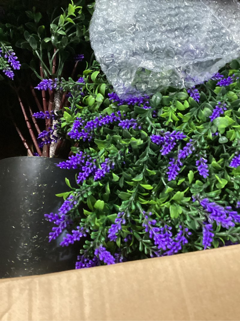 Condition photo showing Good Condition for 2 pcs artificial lavender topiary ball trees potted plants, uv resistant fake lavender topiary plant purple trees for garden, front door porch and outdoor decor (purple, m) purple medium