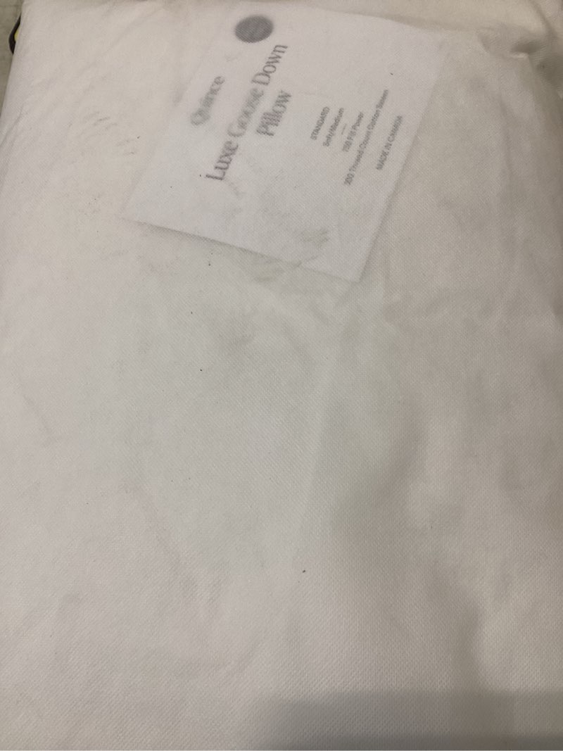 quince luxe goose down pillow 