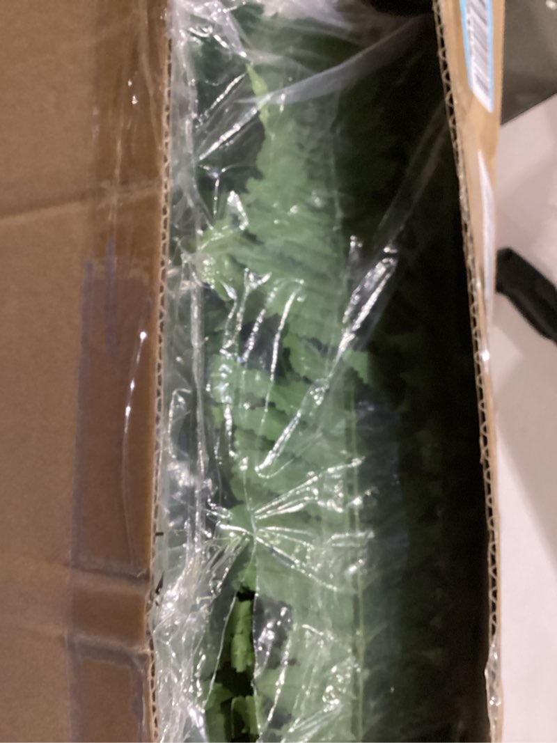 Condition photo showing New/Like New for 48" artificial ferns for outdoors large, 2 packs fake ferns, realistic & uv resistant faux fern for porch windowsill garden planter home indoors office decor, potted or hanging (67 leaves/stem)