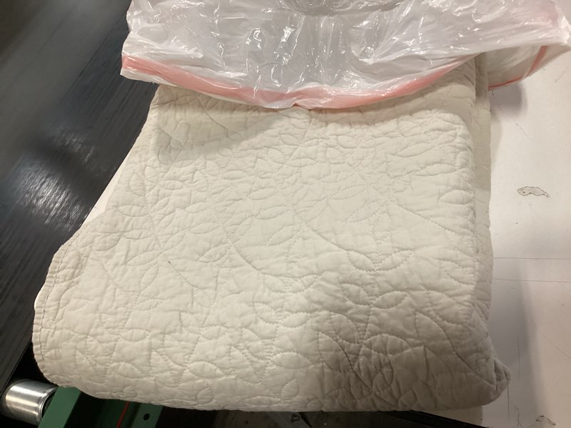 Condition photo showing As Is for ( incomplete) EVERGRACE 100% Cotton Paisley Quilt Set, King Size 3 Piece Set – Prewashed Lightweight Bedspread with 2 Shams, Soft & Breathable Matelasse Coverlet for All-Season Comfort, Flax Beige King Paisley Flax Beige